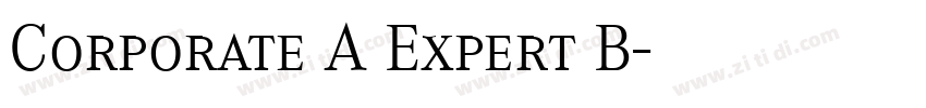 Corporate A Expert B字体转换
